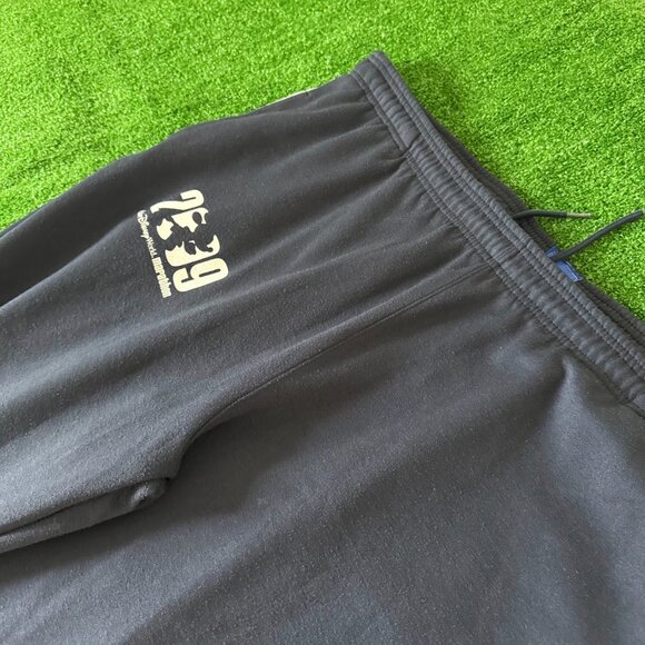 Walt Disney World 2009 Marathon by Champion Sweatpants Track Pants Big Size XXL - Picture 9 of 15
